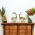 Brass Deer Pair
