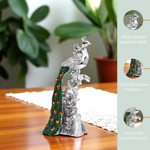 Silver-plated Peacock sitting on the branch