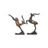 Natriel Brass Deer Pair