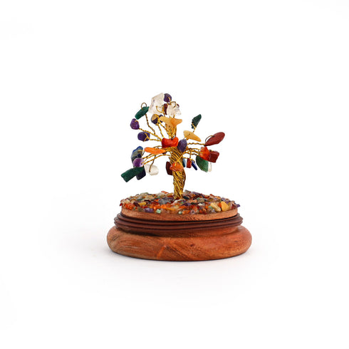 7 Chakra Glass dome wish tree