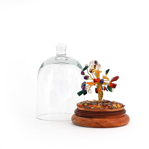7 Chakra Glass dome wish tree