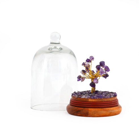 Amethyst Glass dome wish tree