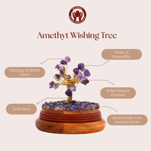 Amethyst wishing tree with features labeled on a beige background