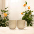 Beige colour Ceramic Coffee mug set