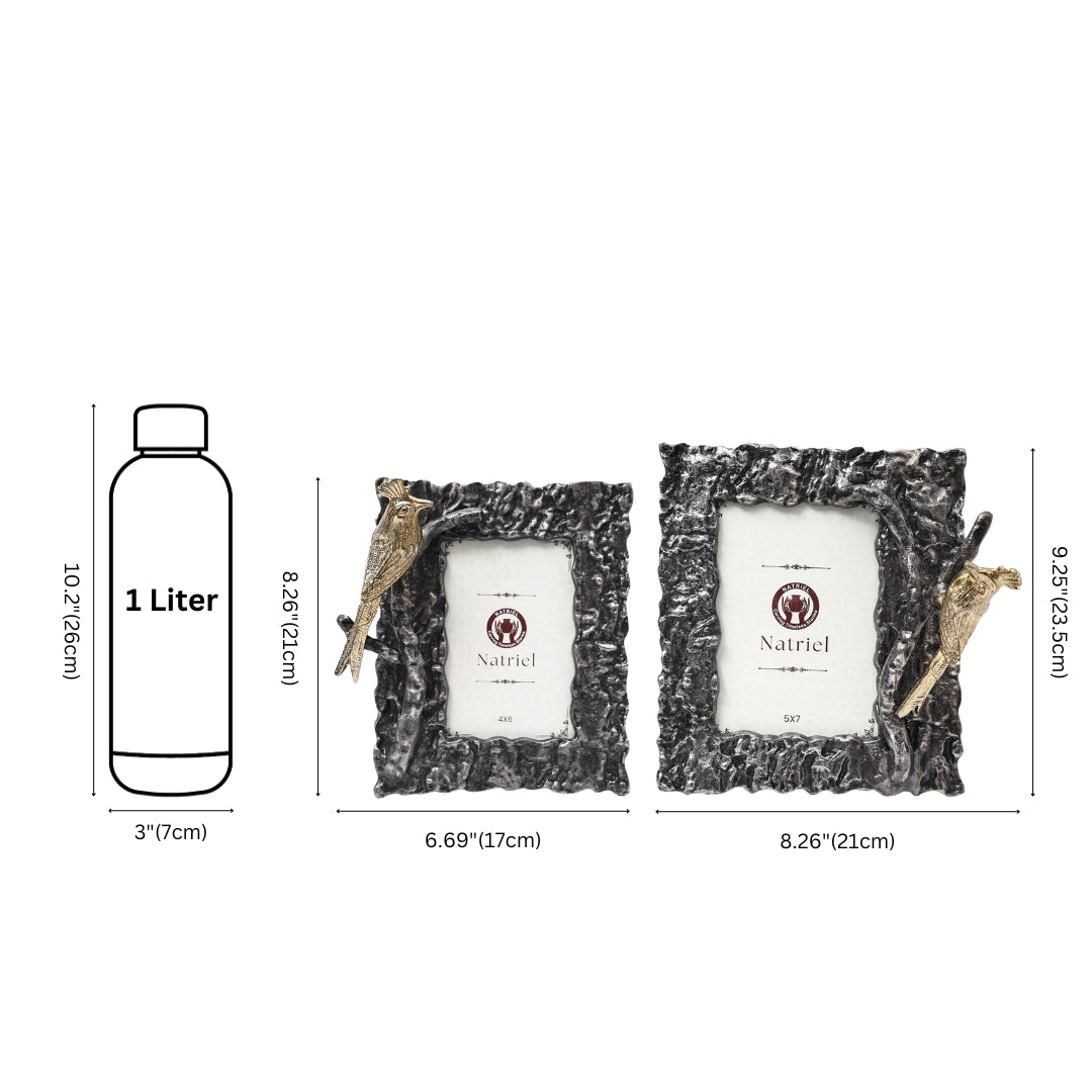 Bird on Rocky Photo frame (Set of 2)