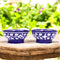 Blue Pottery Deep Blue Floral Bowls—Set of 2