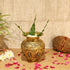 Brass Ashtalakshmi Pooja Kalash - Handcrafted Pot for Pooja Rituals