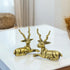 Brass Deer Pair Ethnic Design Handmade Statue for Home Decor Office Counter Unique Piece