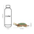 Brass Lucky Charm Tortoise Turtle Vastu Kachua for Good Luck