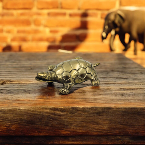 Brass Tortoise Yantra