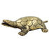 Brass Tortoise Yantra