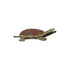 Brass Tortoise Yantra