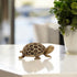 Brass Vastu Tortoise for Good Luck