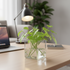 Chic Decorative Glass Square Flower Vase