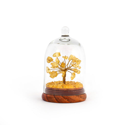 Citrine Glass dome wish tree