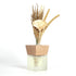 Citronella Aroma Reed Diffuser—Golden