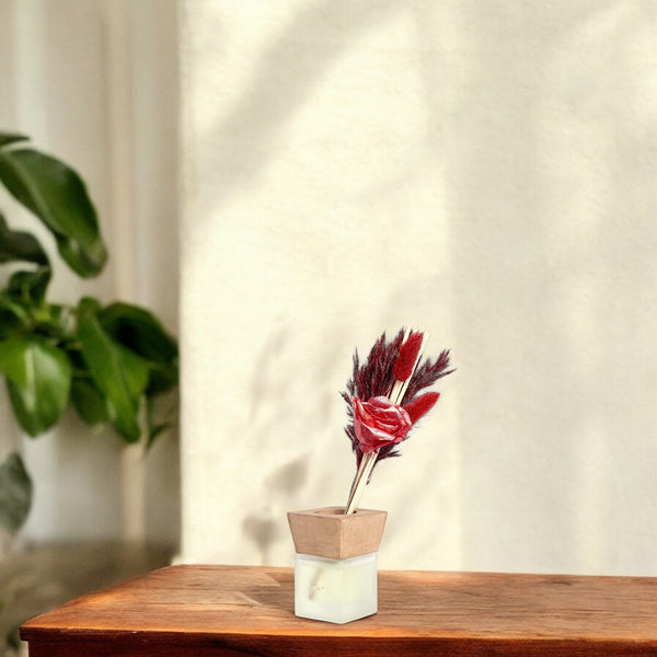 Cranberry Aroma Reed Diffuser—Red