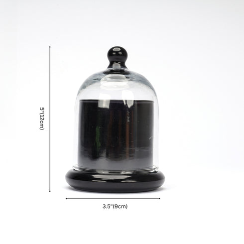Decorative Glass Bell Jar/Cloche Jar