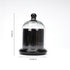 Decorative Glass Bell Jar/Cloche Jar