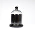 Decorative Glass Bell Jar/Cloche Jar