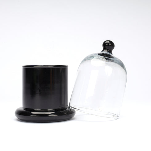 Decorative Glass Bell Jar/Cloche Jar