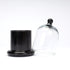 Decorative Glass Bell Jar/Cloche Jar