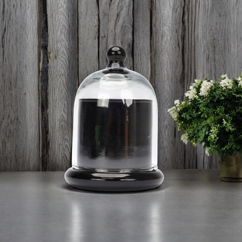 Decorative Glass Bell Jar/Cloche Jar