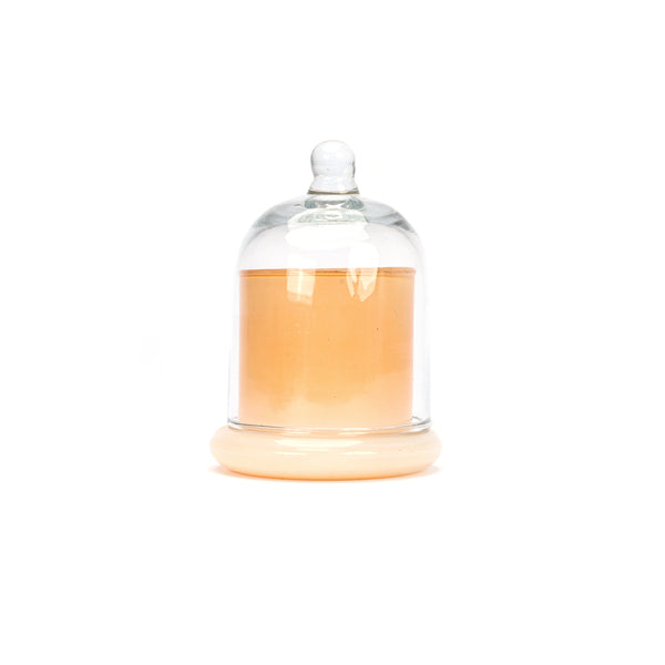 Decorative Glass Bell Jar/Cloche Jar