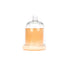 Decorative Glass Bell Jar/Cloche Jar