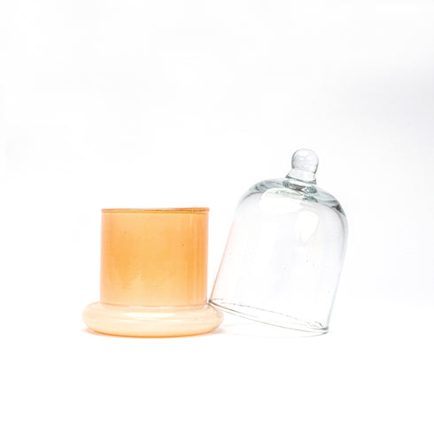 Decorative Glass Bell Jar/Cloche Jar