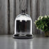 Decorative Glass Bell Jar/Cloche Jar