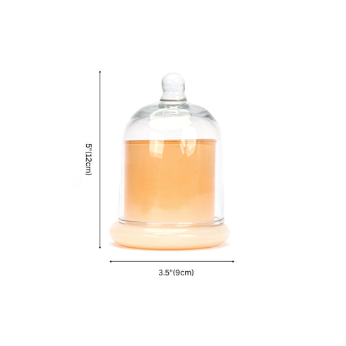 Decorative Glass Bell Jar/Cloche Jar