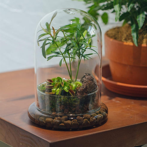 Decorative Glass Candle Holder