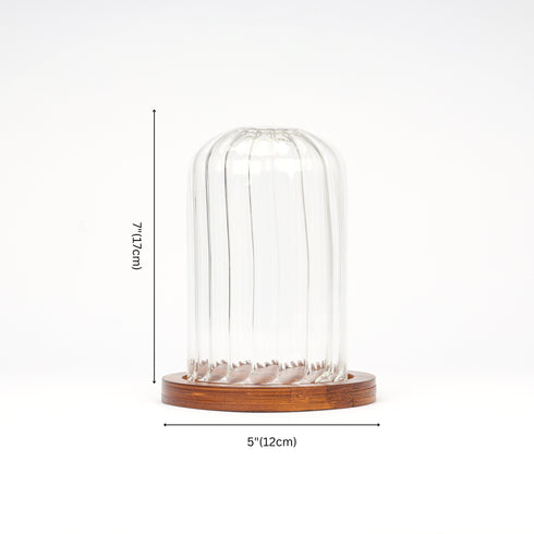 Decorative Glass Dome with Wooden Base
