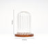 Decorative Glass Dome with Wooden Base