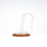 Decorative Glass Dome with Wooden Base