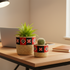 Eco-friendly Handwoven Sabai Grass Planters