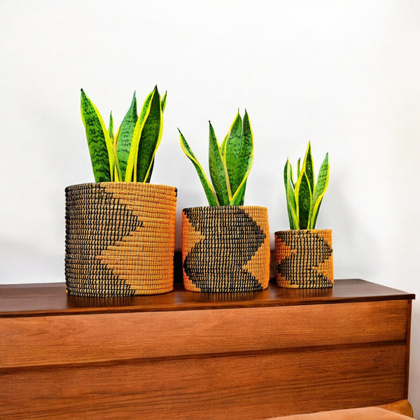 Eco-friendly Handwoven Sabai Grass Planters – Set of 3