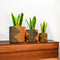 Eco-friendly Handwoven Sabai Grass Planters – Set of 3