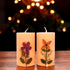 Eco-friendly Soy Wax Scented Pillar Candles-Set of 2