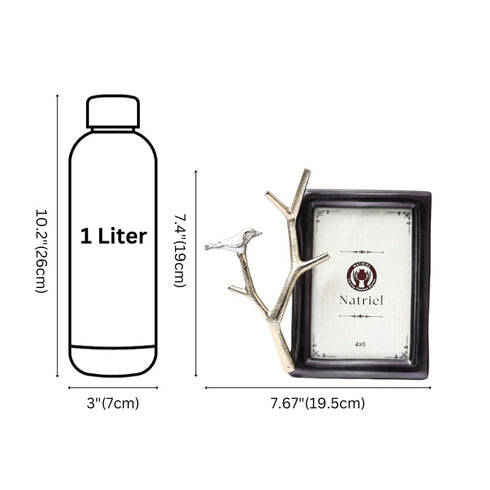Elegant Black Frame with Silver Bird Branch Accent
