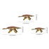 Feng Shui Brass Wish Tortoise with Secret Wish Compartment - Set of 3