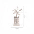 German Silver Tulsi Plant