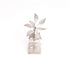 German Silver Tulsi Plant