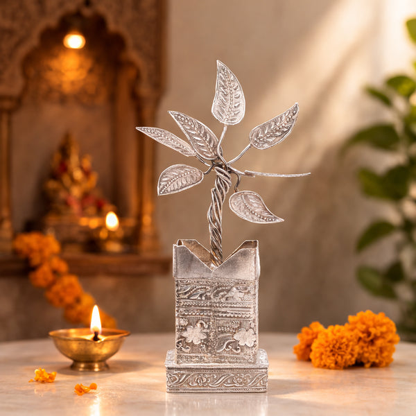 German Silver Tulsi Plant