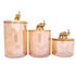 Glass Containers Set of 3 with Elephant Designed Lid