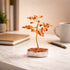 Decorative bonsai tree on a marble base with a cup, notebook, and pen in the background.