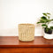 Handcrafted Sabai Grass Small Utility Container
