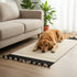 Handwoven Beige Coloured Pet Carpet - Jawaja Wool Dhurrie