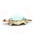 Brass Shree Yantra Tortoise with Glass Shell – Indian Vastu Decor